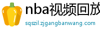 nba视频回放录像